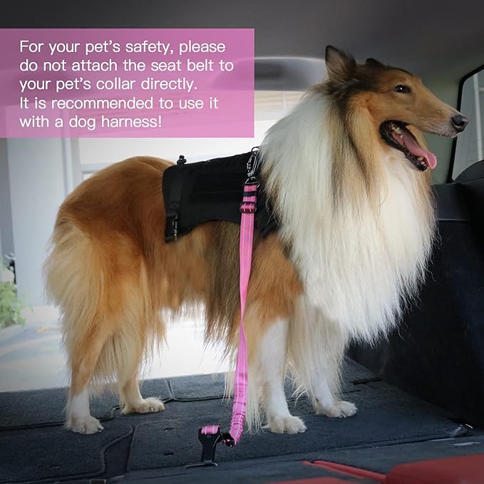 AUBELL Dog Seat Belt for Car,2 Pack Set 3-in-1 Adjustable Reflective Bungee Heavy Duty Dog Car Harness Tether with Clip Hook Latch & Buckle,Swivel Zinc Alloy Carabiner,Black+Hotpink-PawvioPets