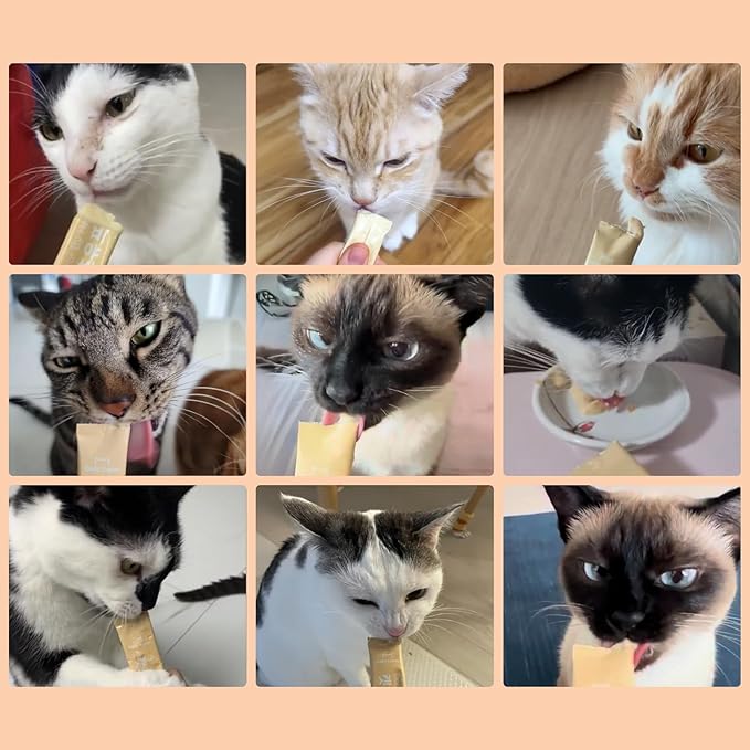 Dr.by Cat Colostrum Protein Cat Supplement Immune Support Muscle Growth, Gentle on Digestion for Kittens, Adult&Senior Cats with Goat Milk, Whey Protein Isolate, Colostrum Lickable Formula-PawvioPets