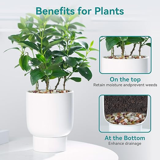 5lbs Pebbles for Indoor Plants, 3/8 Inch Small Rocks for Potted Plants, Succulents, Vase Fillers, Cactus Planters, Bird Bath, Fountain, Outdoor Garden Landscaping-PawvioPets