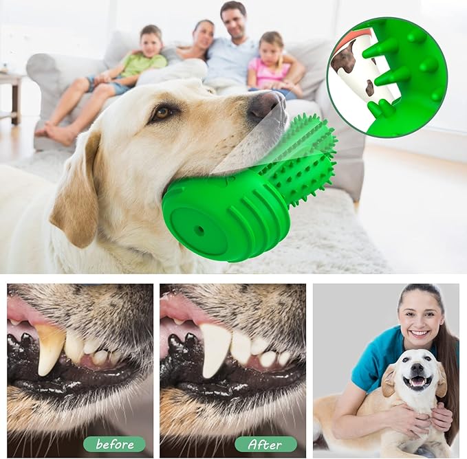 Dog Chew Toys Dog Toothbrush Stick Teeth Cleaning Brush Dental for Medium Large Dog, Puppy Christmas,Easter Birthday Gifts,Outdoor Squeaky Toys for Aggressive Chewers Tough Toys Interactive-PawvioPets