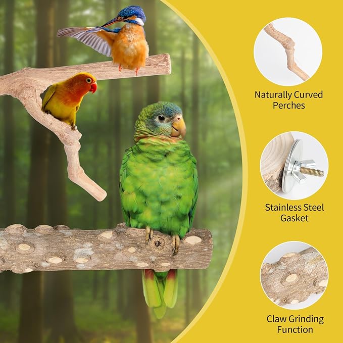 Bird Perches, 6PCS Natural Wood Birds Perch Stand Set, Parakeet Toys, Bird Cage Accessories, Stand & Toys for Parakeets, Cockatiels, Conure, Budgies-PawvioPets