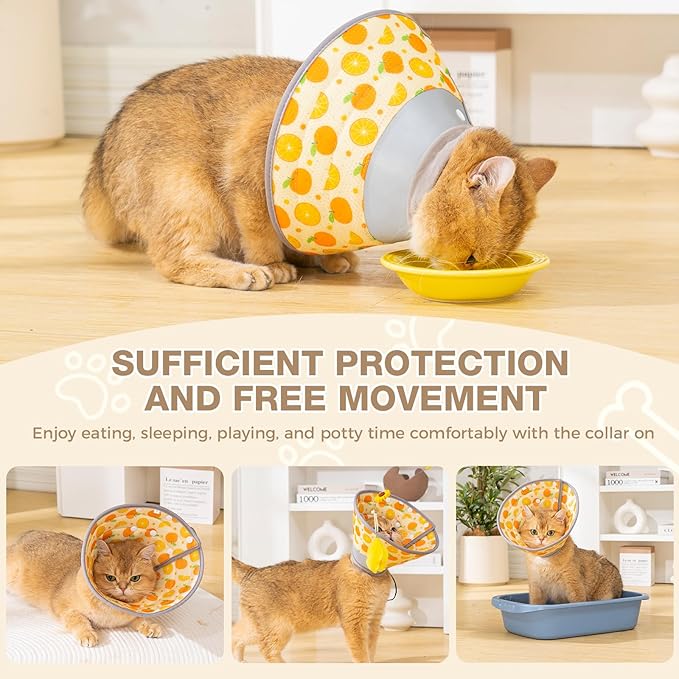Avont Cat Cone Collar Soft to Stop Licking, Adjustable Foldable Lightweight Kitten Recovery Collar After Surgery for Small Dogs, Elizabeth Cone of Shame Alternative -Orange(M)-PawvioPets