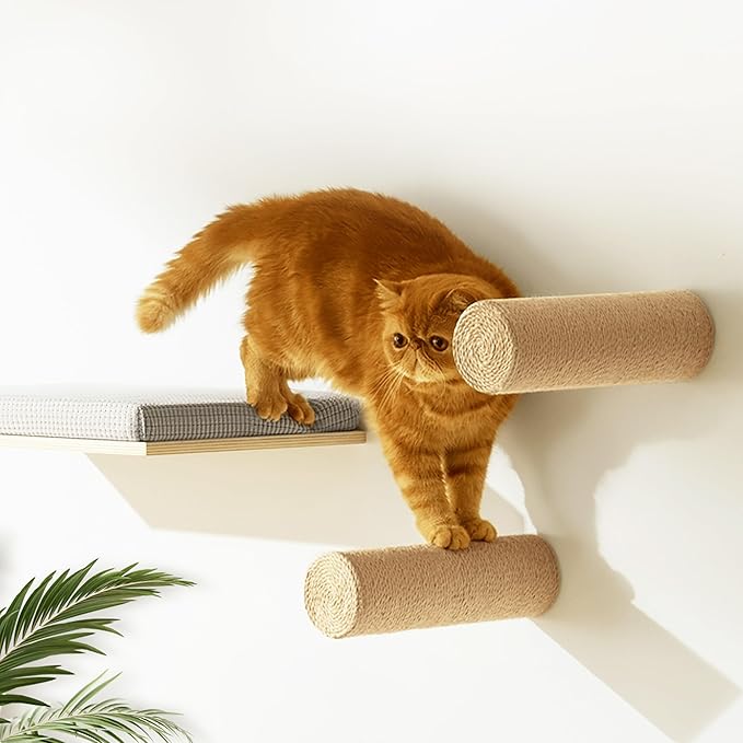 2-Pack Sisal Wall-Mounted Cat Climbing Wall Steps, Cat Wall Steps/Stairs with Sisal Scratching Surface, Wall Shelf Furniture for Climbing & Play for Kittens & Cats, Hidden Mounts-PawvioPets