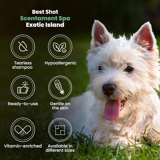 Best Shot Scentament Spa Seasonal Facial & Body Wash, Exotic Island, 16 oz-PawvioPets