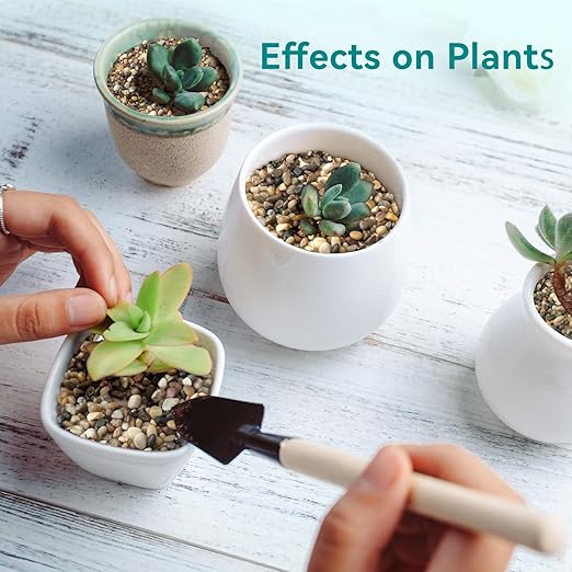 2.5 lbs Small Rocks for Plants, 1/5 Inch Gravel for Plants Drainage, Decorative Potting Pebbles for Indoor Plants, Vases, Bamboo, Succulent, Terrarium, Crafts, Cactus-PawvioPets