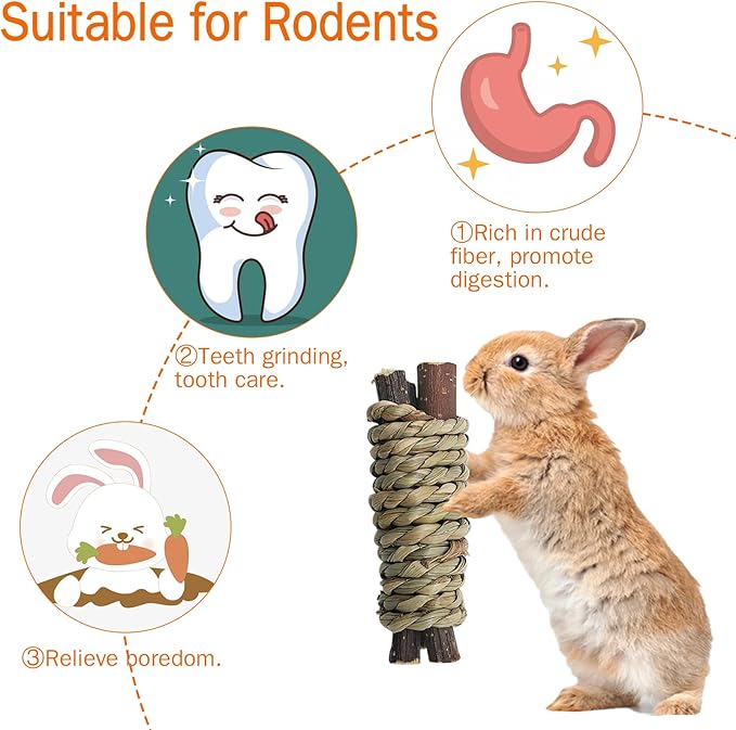 Fhiny 12 PCS Guinea Pigs Chew Toys, Natural Apple Branch Seagrass Molar Sticks for Teeth Bunny Chew Toys Cage Accessories for Guinea Pigs Rabbit Bunny Hamster Chinchilla-PawvioPets