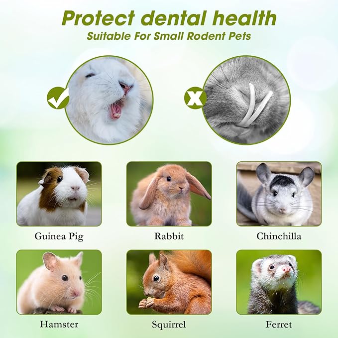 Abizoo Natural Rabbit Chew Toys,10 Sticks Sweet Bamboo Sticks for Rabbits with Petals,Bunny Chew Toys for Guinea Pig,Chinchilla,Hamster Treats Pet Wood Chews Snack Healthy Small Animals Toys for Teeth-PawvioPets