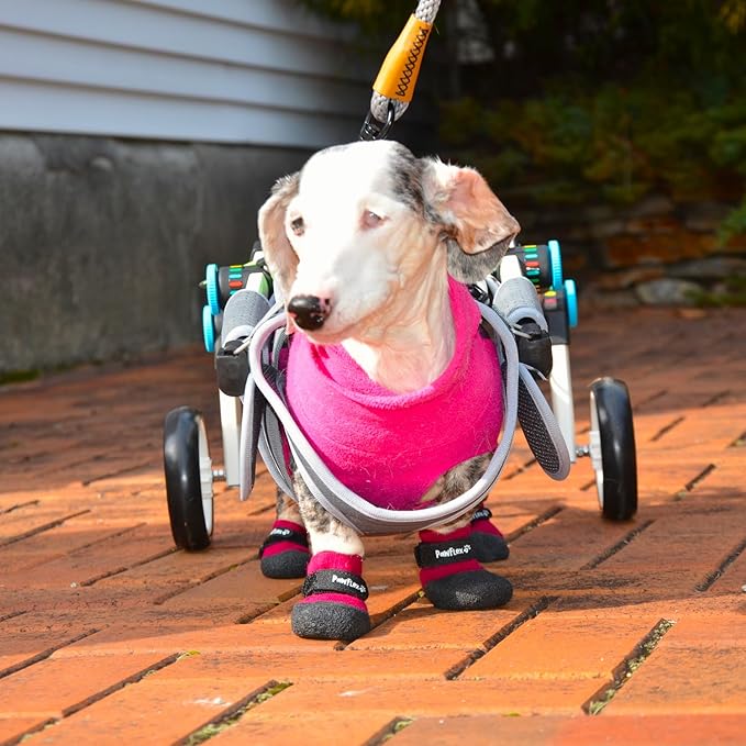 Double Dipped Thick Textured Waterproof Cotton Dog Socks | PawFlex Comfy Pawz Soft Indoor/Outdoor Pet Booties | Non-Slip Silicone Grip at Inner Wrist for No Twisting or Sliding Off| Adjustable Strap-PawvioPets