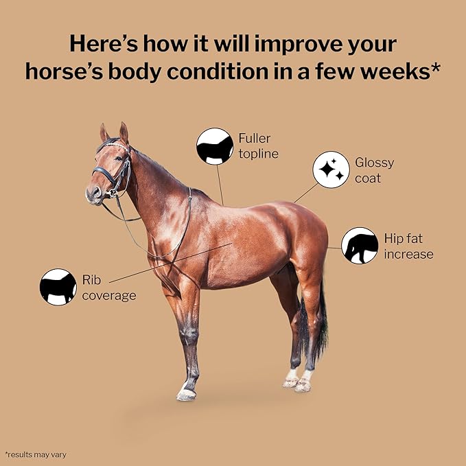 Formula 707 Weight Gain Crumble Equine Supplement, 7 lb Bag – Palatable, Calorie-Rich Nutritional Support for Hard-to-Keep and Senior Horses-PawvioPets