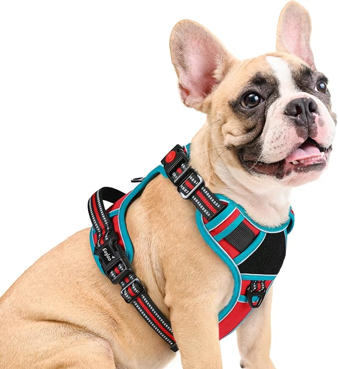 Eagloo Dog Harness Medium Sized, Easy Wearing with 3 Buckles, Adjustable No Pull Pet Harness with 2 Rings for Walking, No Chock Reflective Soft Padded Vest with Control Handle, Red & Teal, M-PawvioPets