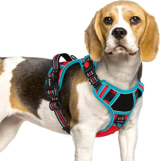 Eagloo Dog Harness Small Sized, Easy Wearing with 3 Buckles, Adjustable No Pull Pet Harness with 2 Rings for Walking, No Chock Reflective Soft Padded Vest with Control Handle, Red & Teal, S-PawvioPets