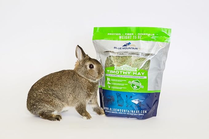 Blue Mountain Hay | Fresh Timothy Hay (40 Ounce) | Great for All Ages | High-Altitude Hay Pet Food for Rabbits, Guinea Pigs, Chinchillas, Hamsters, and Other Small Pets-PawvioPets