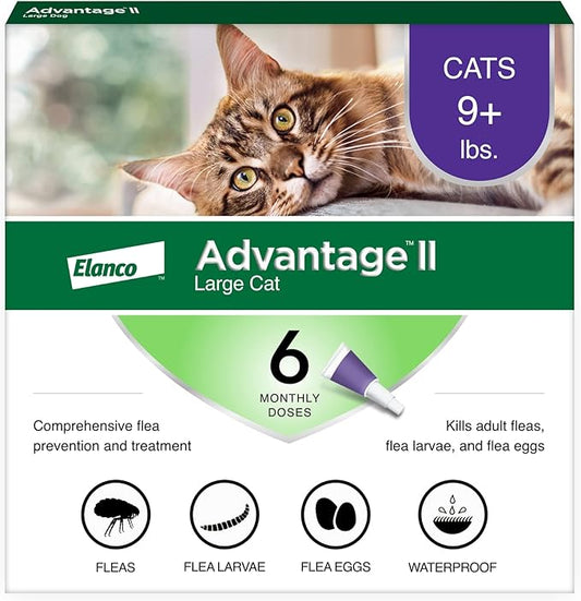 Advantage II Large Cat Vet-Recommended Flea Treatment & Prevention | Cats Over 9 lbs. | 6-Month Supply-PawvioPets