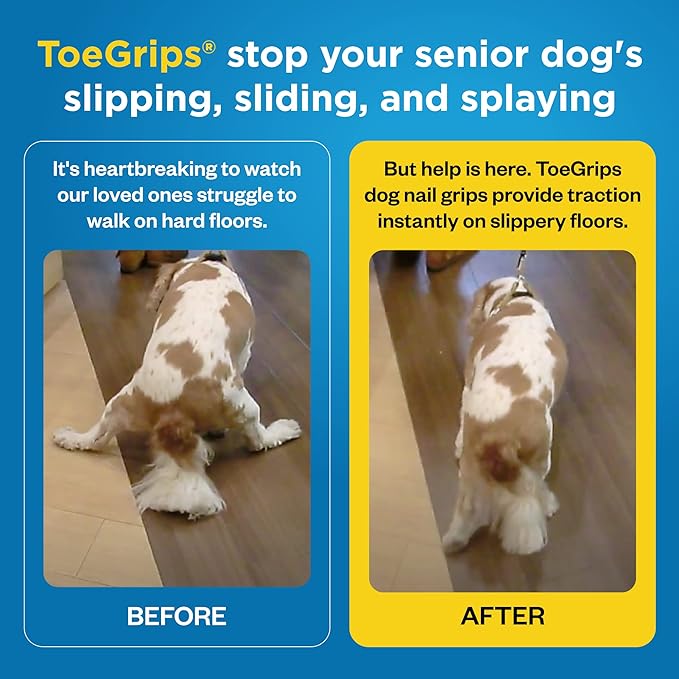 Dr Buzby's Large ToeGrips for Dogs - Instant Traction on Wood/Hardwood Floors - Anti Slip Relief - Grippers for Senior Dogs - Stop Sliding Instantly - Rubber Nails for Paws - 1 Pack (20 Grips)-PawvioPets