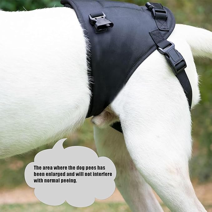 Dog Lift Harness for Dogs with Disabled Arthritis and Weak Back Legs, humanized Design with Comfortable Materials, Adjustable Back Legs and Straps, Suitable for Helping Dogs to Recover and Walk. (M)-PawvioPets