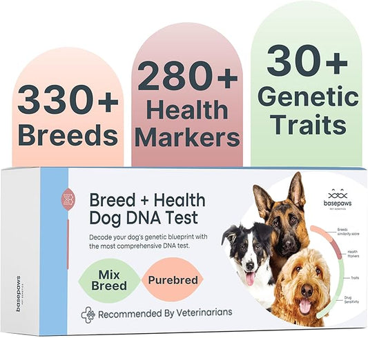 Basepaws Dog DNA Testing Kit - 300+ Breeds, 280+ Health Risks, and 30+ Traits - Comprehensive Mixed Breed Identification, Pet DNA Test kit, Canine Genetic Ancestry and Heritage-PawvioPets