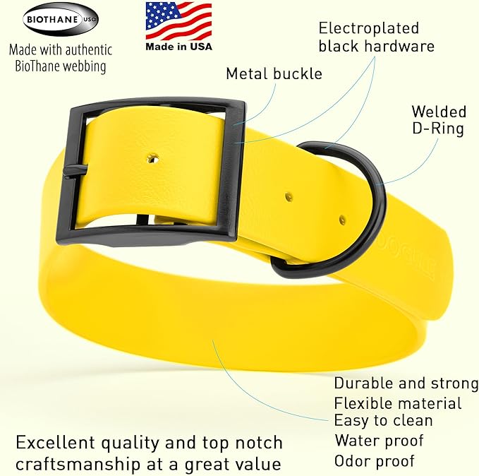 Dogline Biothane Waterproof Dog Collar Strong Coated Nylon Webbing with Black Hardware Odor- Proof for Easy Care Easy to Clean High Performance Fits Small Medium or Large Dogs, Lemon Yellow-PawvioPets