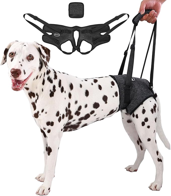 Dog Sling for Medium Large Dog Rear Leg, Lift Harness Provide Support with Muscle Atrophy and Joint Problems for Elderly Injured Arthritic Pet, Dog Weak Rear Legs Provides Rehabilitation Aid-PawvioPets