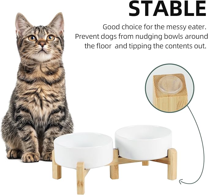 Ceramic Raised Double Bowls Set with Stand, 2 Heights Elevated, Food & Water Bowls for Small Breed Dogs, Cats, Kitty, Weighted Dog Dishes, Pet Bowls(5.1'',13.5oz, White)-PawvioPets