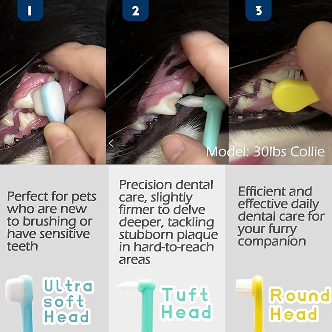 Dog Toothbrush Small Breed Cat Toothbrushes, Puppy Tooth Brushing Kit, Tiny Dog Tooth Brush, Micro Head Deep Teeth Cleaning Brushes for Mini Pet Doggie Kitten, Soft Bristles, 5 PCS-PawvioPets