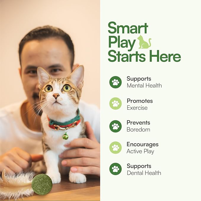 3 Pcs Catnip Balls with Feathers – Natural Catnip Toy for Play, Stress Relief & Healthy Enrichment Interactive Cat Toys Perfect for Indoor Cats & Kittens, Encourages Active Play & Wellness-PawvioPets