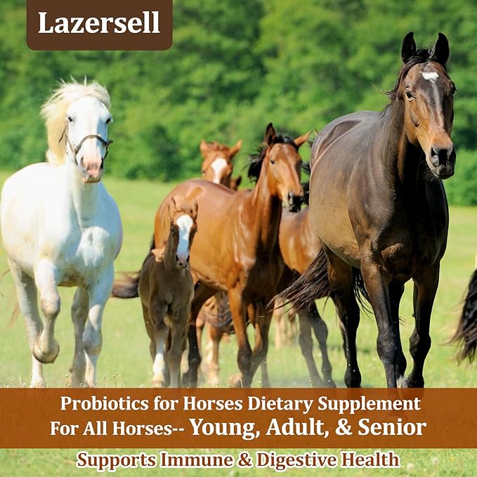 Probiotics for Horses Dietary Supplement, All-Natural Digestive System Maintenance Formula Equine Digestion Support Horse Health Supplements (90 Days)-PawvioPets