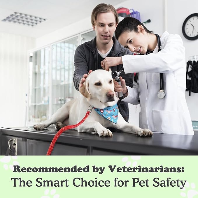 Canine Hitch- Secure Dog Leash Parking Mounted Indoor – Outdoor Wall Hook - Tie Out Stainless Steel Practical Lead Management for Home & Business, Slim Compact 2 Pack-PawvioPets