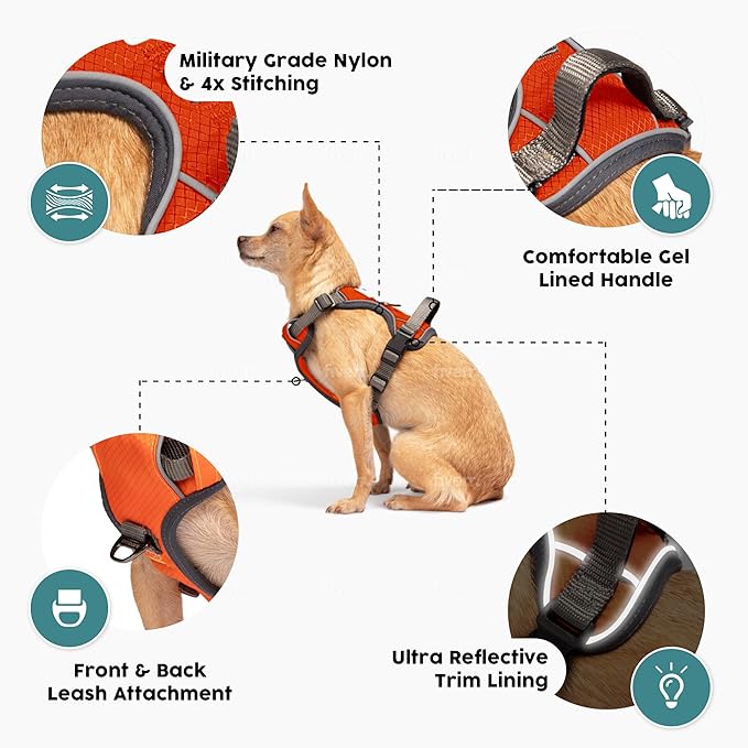 Embark Adventure Dog Harness, Reflective Trim XL Dog Harness for Extra Large Dogs No Pull - Military Grade Nylon, 2 Leash Clips & Gel Lined Handle.-PawvioPets