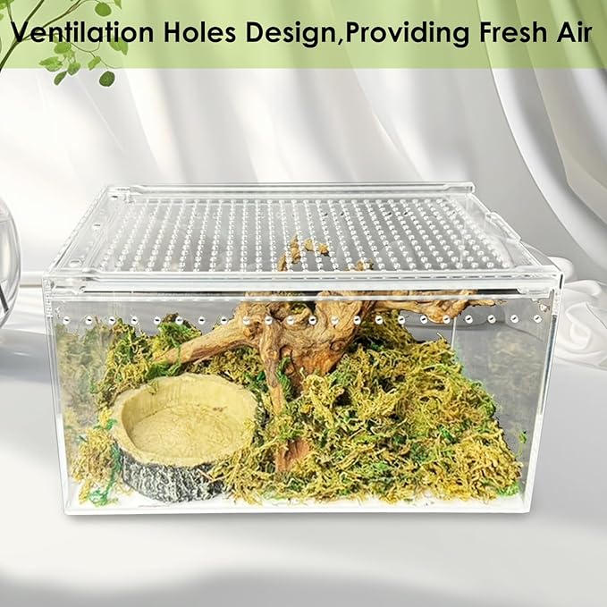 Acrylic Reptile Terrarium Enclosure 9.8" x 5.9" x 5.9" Magnetic Tarantula Breeding Box Transparent Insect Habitat for Jumping Spider Hermit Crab Lizard Sling Isopods Horned Frog Snake Gecko-PawvioPets