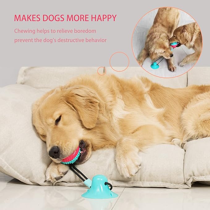 Dog Toys Dog Chew Toys for Aggressive chewers, Puppy Dog Training Treats Teething Rope Toys for Boredom Dog Puzzle Treat Food Dispensing Ball Toys for Puppies Teething (Blue)-PawvioPets