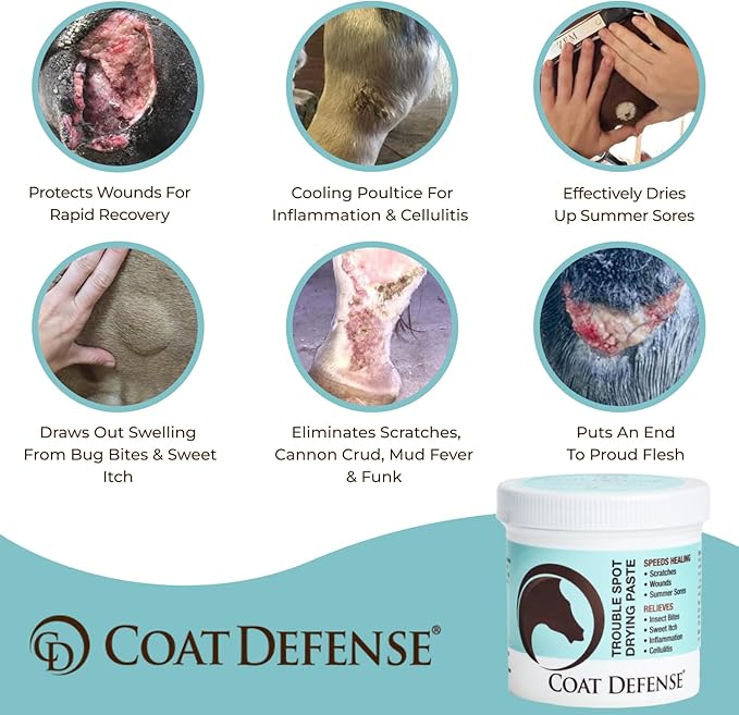COAT DEFENSE Trouble Spot Drying Paste for Horses - Natural Equine Wound Care That Provides Safe & Effective Relief from Scratches, Sweet Itch, Summer Sores, Proud Flesh, Mud Fever, Girth Rot (10 Oz)-PawvioPets
