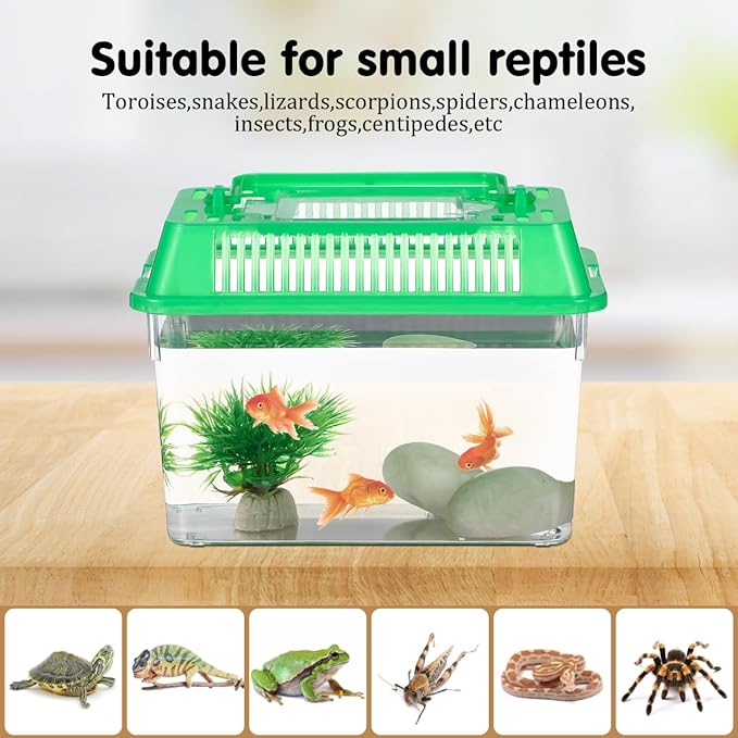 5pcs Small Fish Carrier with Breathable Lids, Portable Betta Fish Tank, Clear Breeding Boxes for Lizard, Turtle, Tarantula（Assorted Color）-PawvioPets
