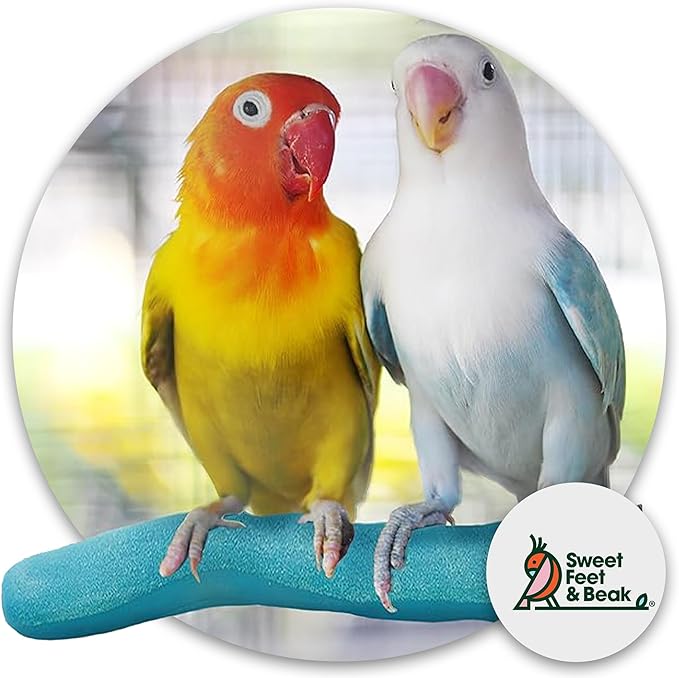 Brid Cage Safety Pumice Perch - Trims Nails and Beak - Promotes Healthy Nails and Beaks - Safe Non-Toxic Bird Supplies for Bird Cages - Large 12"-PawvioPets