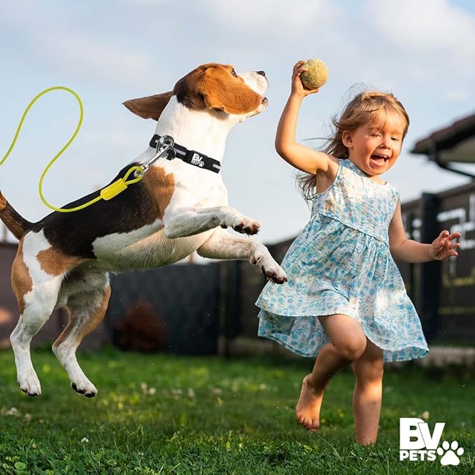 BV Dog Tie Out Cable 25 Feet - Heavy Duty Dog Lead Up to 35 Pounds - Reflective & Rust-Free with Quick Release Swivel Clips & 360° Rotating Clasp - Tangle-Free Dogs Runner for Yard (Yellow, Single)-PawvioPets