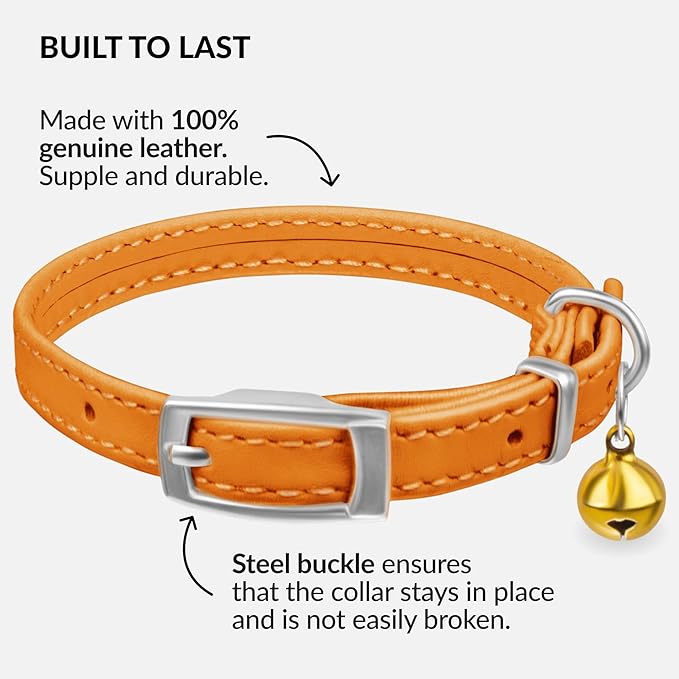 CollarDirect Leather Cat Collar with Bell - Kitten Collar, Small and Big Cat Strap for Boy Cats, Girl Cats with Safety Elastic Strap (Neck Fit 8"-11", Orange)-PawvioPets