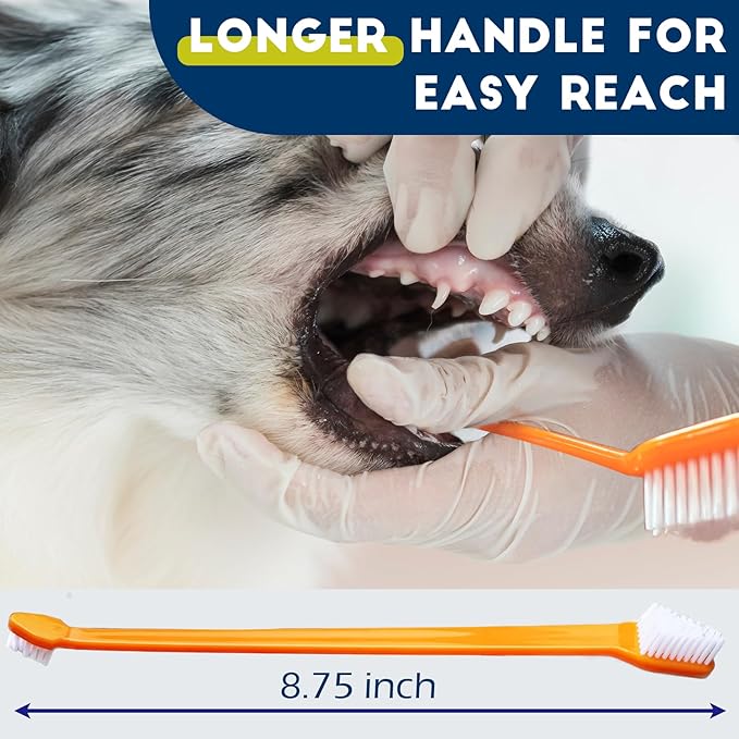 200 Pcs Dog Toothbrush Cat Tooth Brushes Bulk, Double Sided Brushing Kit, Teeth Cleaning Kit Soft Bristles Long Handle, Pet Tooth Brush for Small to Large Dog, Cat, Puppy & Kitten, 10 Colors-PawvioPets