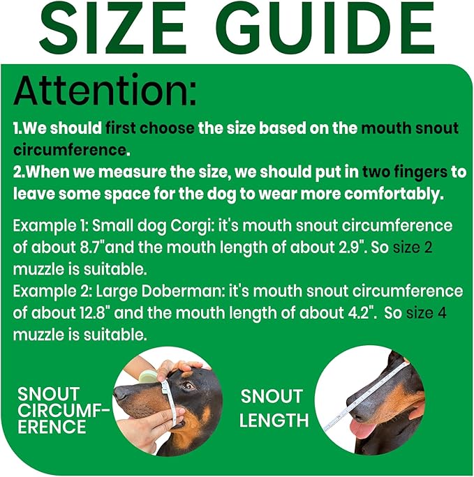 Dog Muzzle, Basket Muzzle for Small Medium Large Dogs, Anti-Biting and Chewing, Lightweight & Sturdy Cage Design, Allows Panting & Drinking, Ideal for Grooming & Training(Green Size XL)-PawvioPets