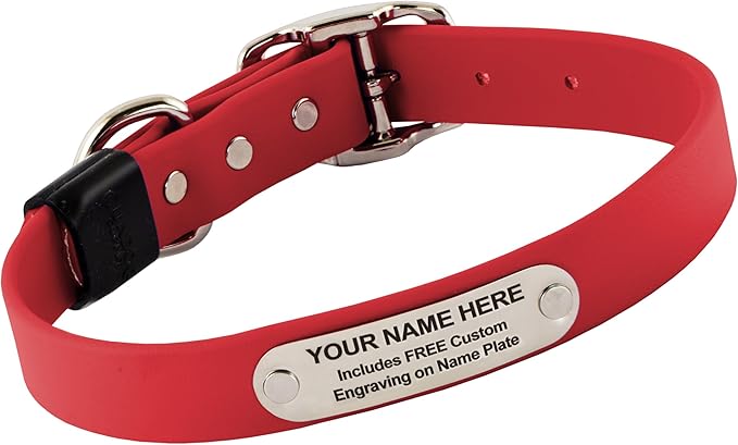 Biothane Custom Dog Collar – Waterproof, Stink-Proof Personalized Collar with Name & Phone Number – Durable, Many Sizes and Colors – Assembled in USA (Cherry Red)-PawvioPets