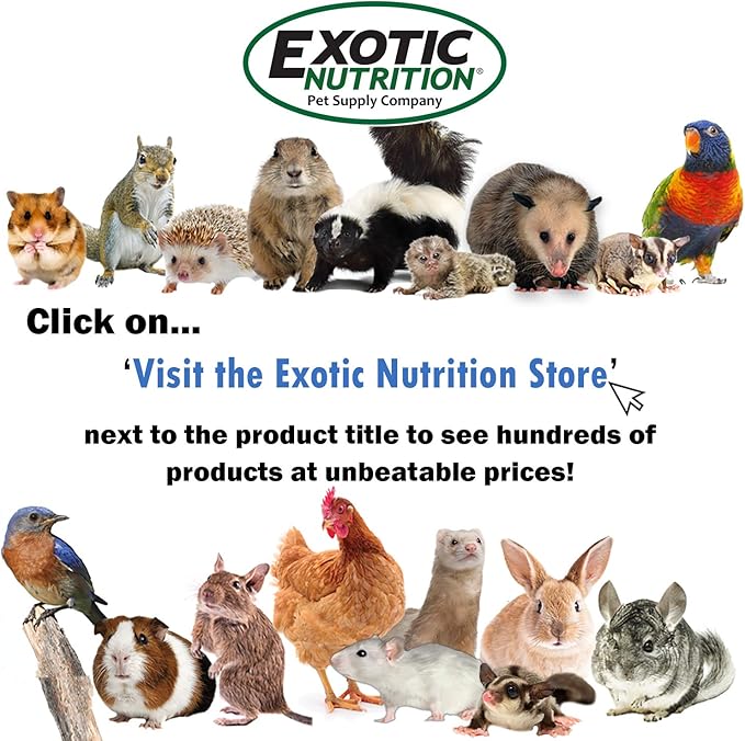 Exotic Nutrition Herbivore Treats 6 Pack - Healthy Assortment Small Animal Pet Treat - Squirrels, Guinea Pigs, Rabbits, Chinchillas, Prairie Dogs, Degus, Hamsters, Gerbils, Herbivores-PawvioPets