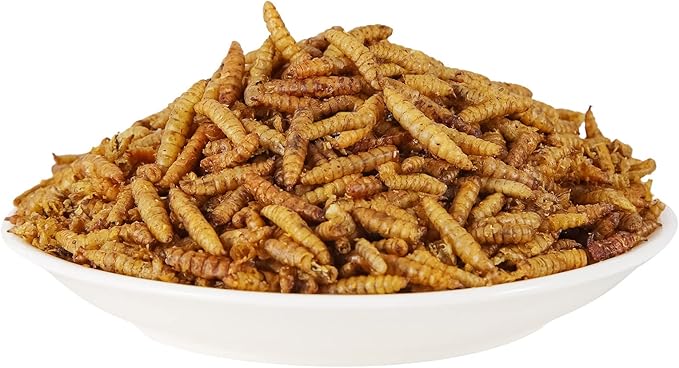 Dried Black Soldier Fly Larvae, 85X More Calcium Than Mealworms High-Protein BSF Larvae Chicken Treats Non-GMO BSFL for Chickens, Hens, Ducks, Wild Birds 5LBS-PawvioPets
