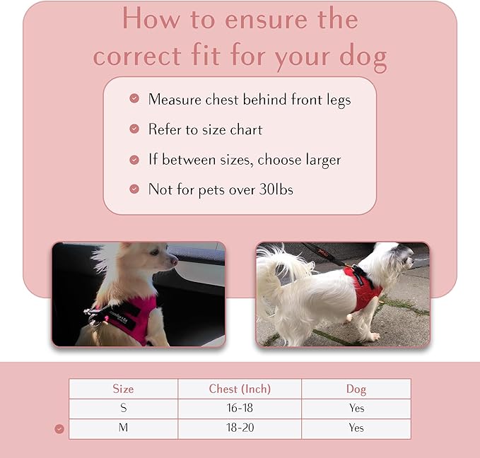 Comfort fit Step-in Dog & Puppy Harness - Comfortable All Weather Dog Vest Harness: Adjustable, Soft Padded, Easy to Put-on for Small, Medium-Sized Dogs.-PawvioPets