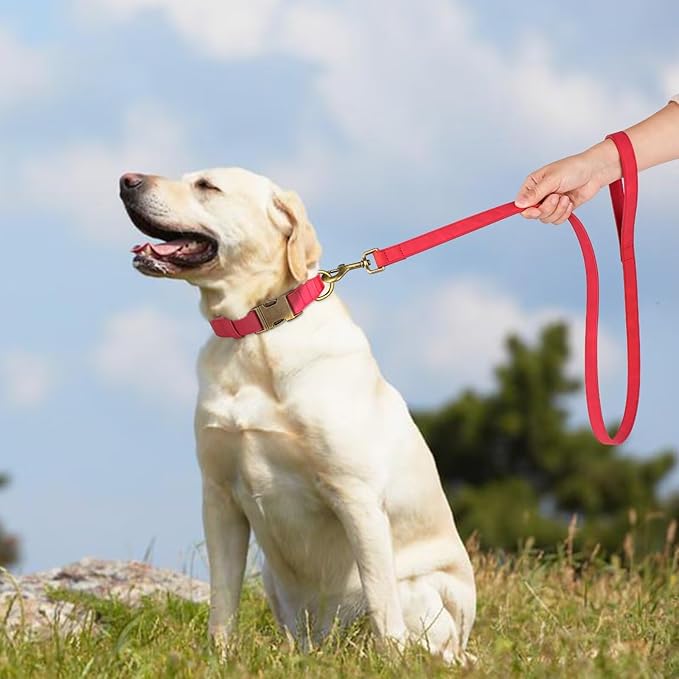 Didog Soft PU Leather Dog Collar, Stylish Quick Released Dog Collars for Large Dogs, Easy Clean Adjustable Pet Collar for Daily Walking, Red, XL Fit 17-27" Neck-PawvioPets