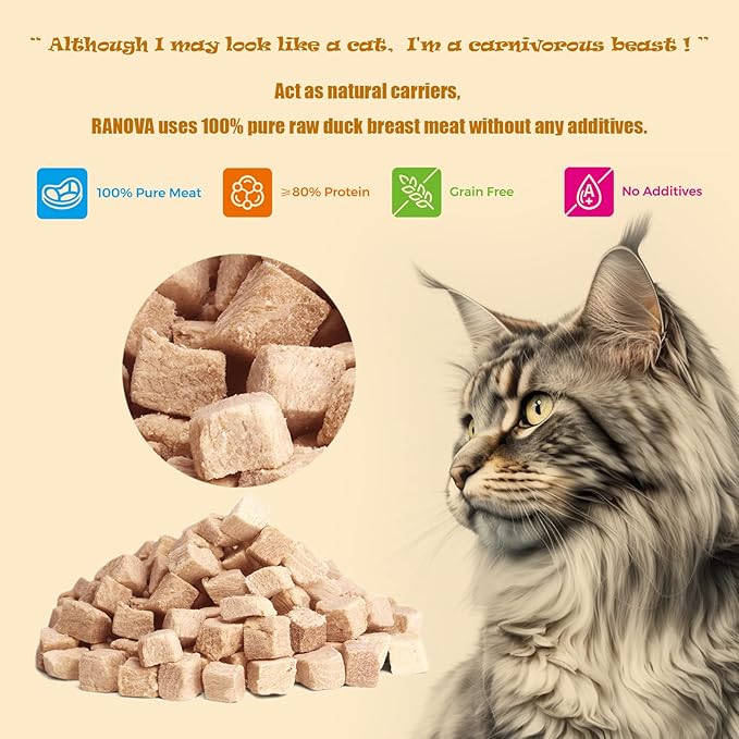 Freeze Dried Cat Treats - 100% Duck Breast Grain Free Raw - Natural Balance Limited Ingredient High Protein Cat Snack 115g/4.1oz - Picky Eater Challenger-PawvioPets