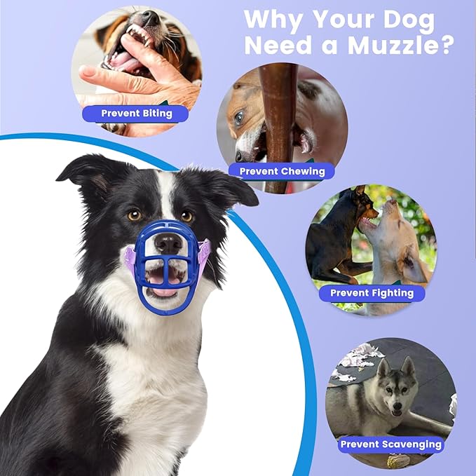 Dog Muzzle, OKKIC Basket Muzzle Anti Biting Chewing, Sturdy Lightweight Muzzle Allows Panting Drinking,Muzzle for Small Medium Large Dogs, Suitable for Grooming Trimming Training (Blue, Size3)-PawvioPets