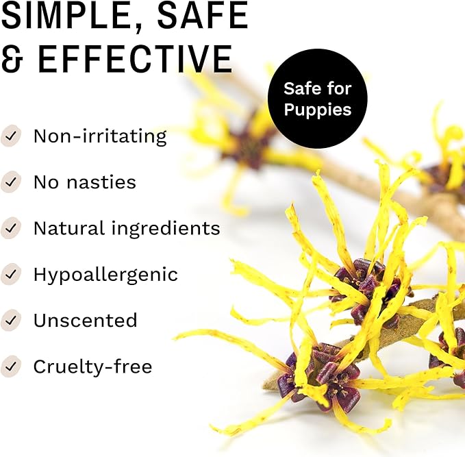 Eye Envy Fresh Ear Cleaning Wipes for Dogs. Made in The USA from Natural Ingredients. Unscented. Prevents Infections. Safe and Non-Irritating. Removes Dirt, Debris, and Wax buildup. 60 Count.-PawvioPets