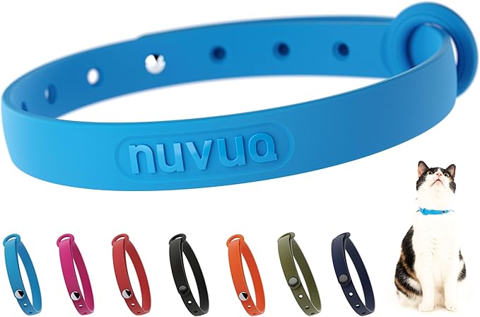 Breakaway Cat Collar - Soft, Comfortable, and Lightweight Safety Buckle Collar with ID Tag Ring for Outdoor Cats and Sensitive Skin Kittens by Nuvuq (6 ⅞" to 10 ¼", Blue)-PawvioPets