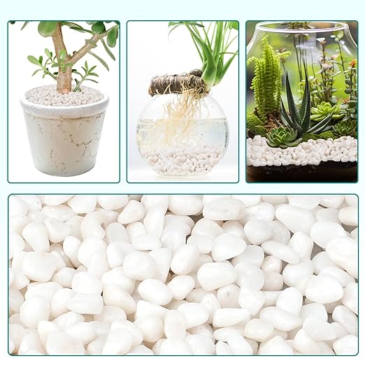 2.5 lbs Small White Rocks for Planters, 3/8" White Pebbles for Vases, Decorative Small Stones for Plants, Succulents, Bamboo, Terrarium, Landscape, Garden-PawvioPets