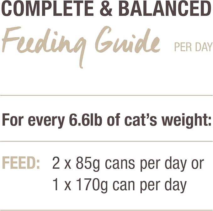 Feline Natural New Zealand Canned Catfood Wet Food, High-Meat, Low-Carb, & Grain Free Cat Food Wet, Lamb Feast, 3 oz, Pack of 24-PawvioPets
