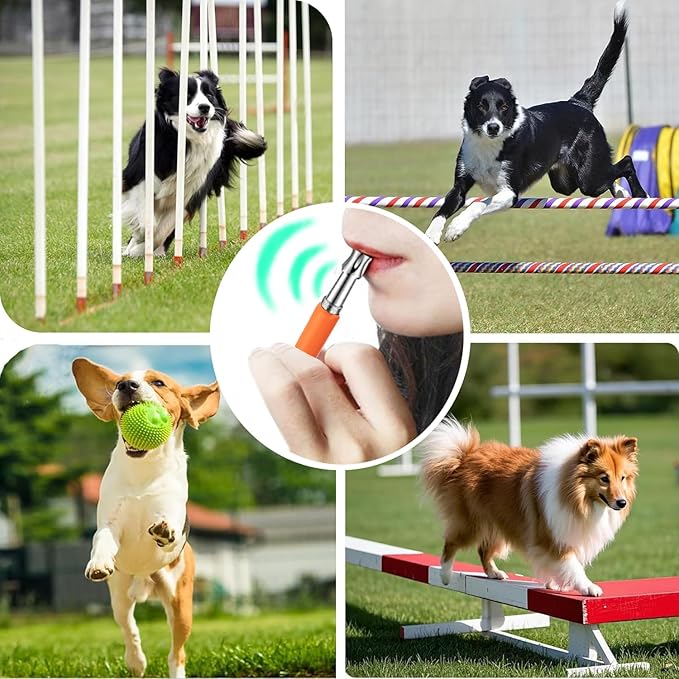 3 PCS Dog Whistles Set, Adjustable Recall Dog Training Whistle Silent Dog Whistle to Stop Barking with Lanyard,Dog Clicker(Orange)-PawvioPets