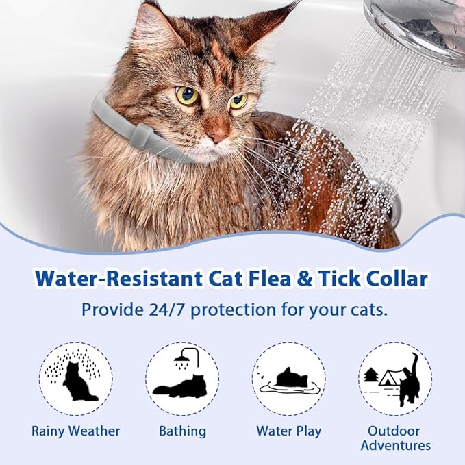 4 Pack Adjustable Flea and Tick Collar for Cats, Natural Plant Oil Formula Cat Flea Collar Provides 32-Month Protection for Flea Tick, Glow-in-The-Dark & Waterproof Cat Flea Treatment for All Cats-PawvioPets